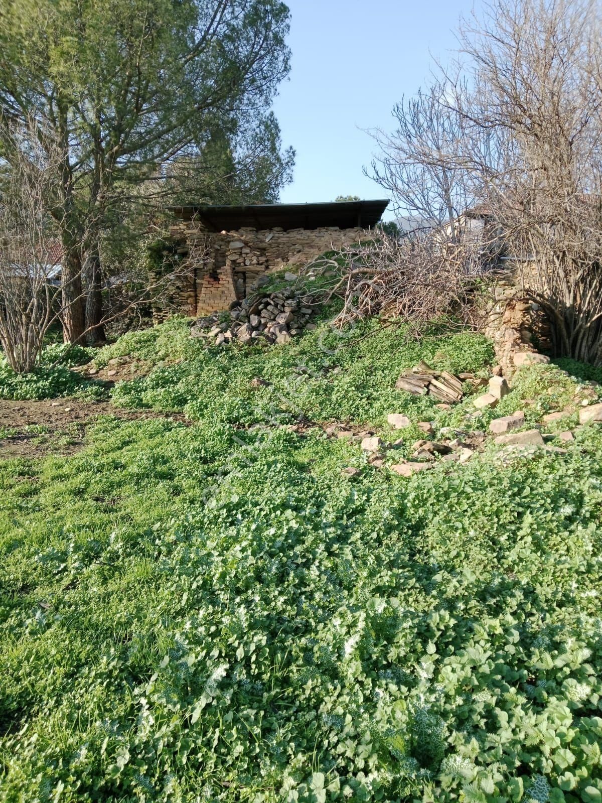 Çine Kasar Da Satılık İçinde Eski Köy Evi Olan Arsa - Görsel 14