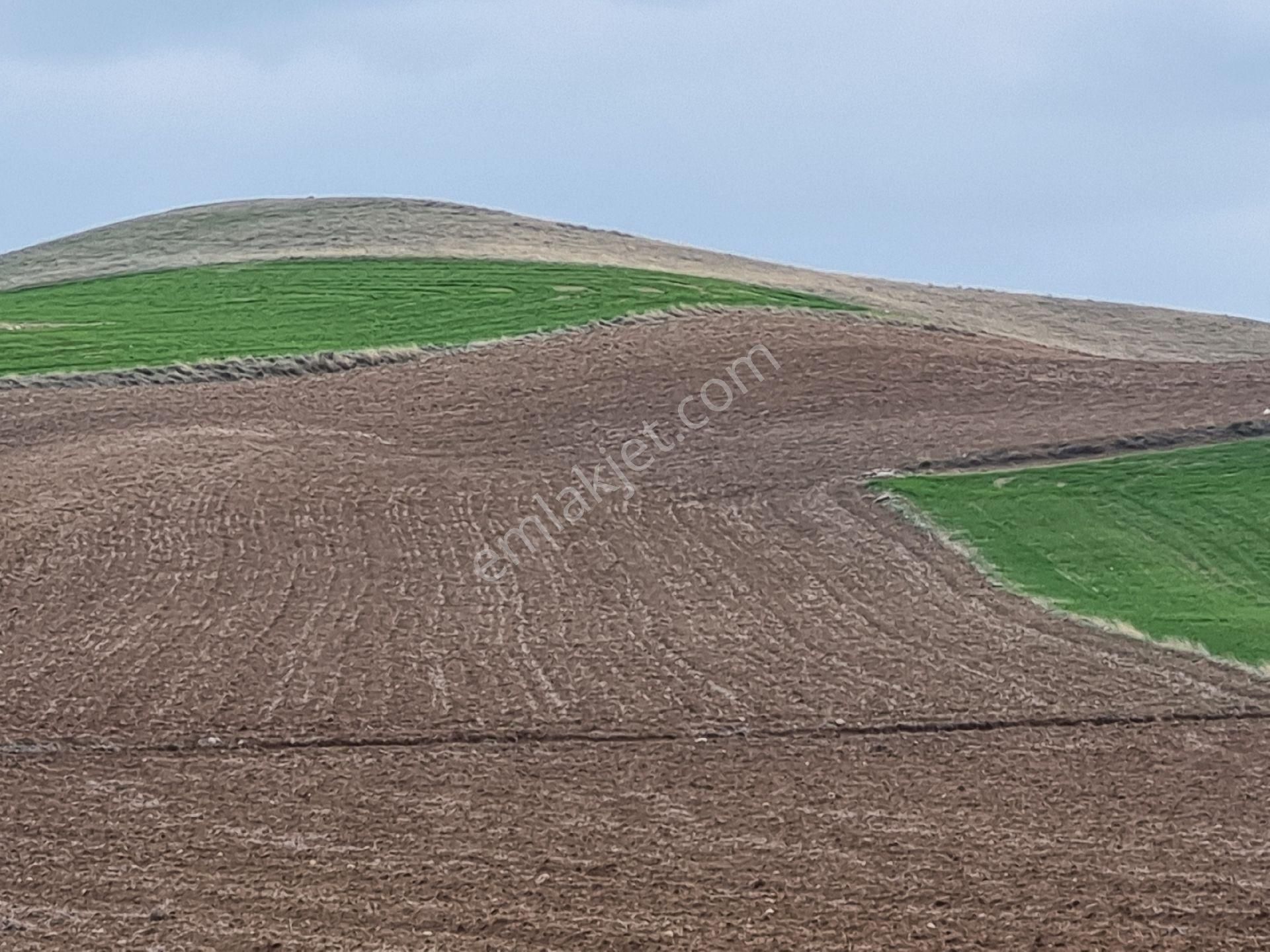 Sincan Çokören Satılık Tarla *** Temelli Çokörende 32 851 M2 Tarla ****