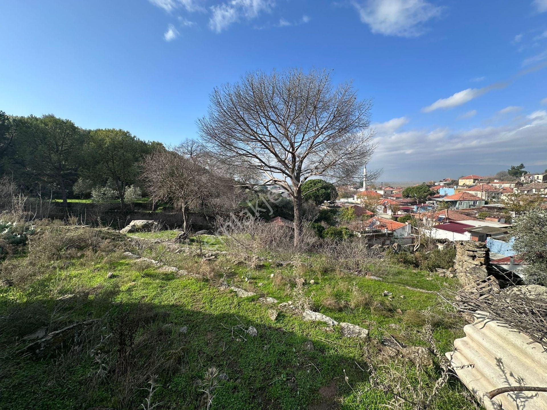 Koçarlı Kasaplar Satılık Konut İmarlı Aydın Koçarlı Kasaplar Mah De 846 M² Konut İmarli Arsa