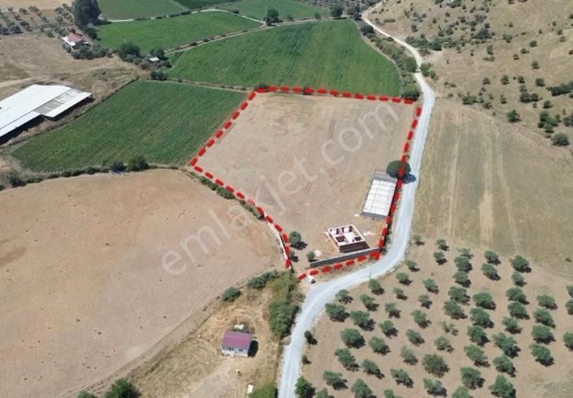 Bayındır Havuzbaşı Satılık Tarla Havuzbaşında Emsalsiz 14.200 M2 Müstakil Tarla