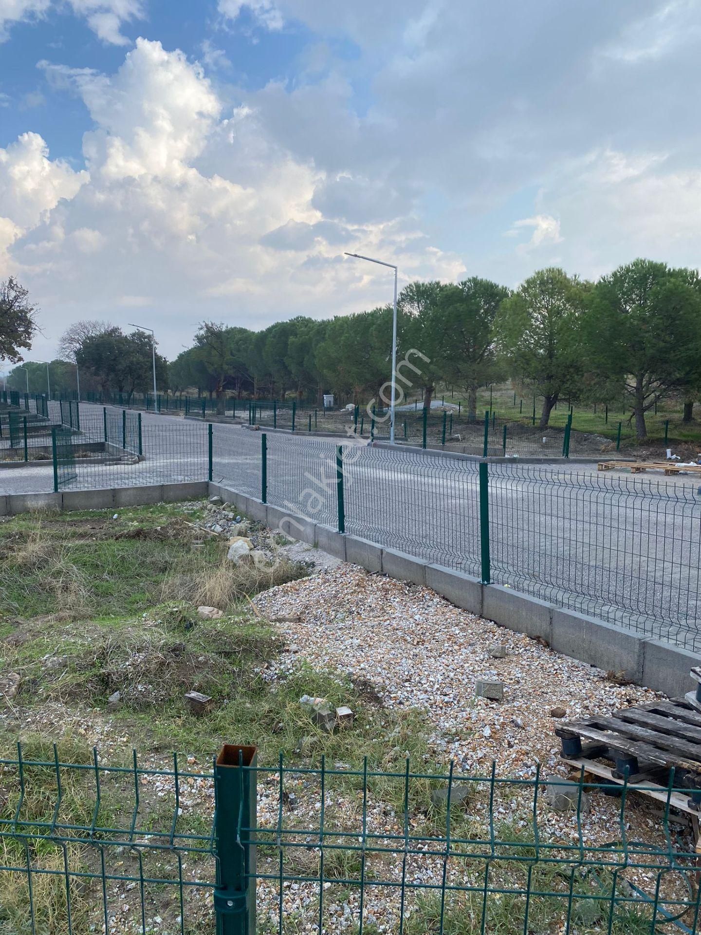 Dikili Çanadarlı S.s.sahra Kooperatifin,de Satılık Hobi Bahçeleri - Görsel 6