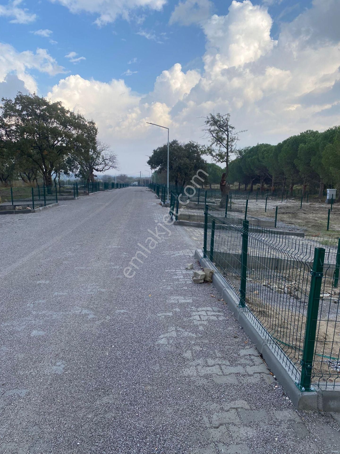 Dikili Çanadarlı S.s.sahra Kooperatifin,de Satılık Hobi Bahçeleri - Görsel 11