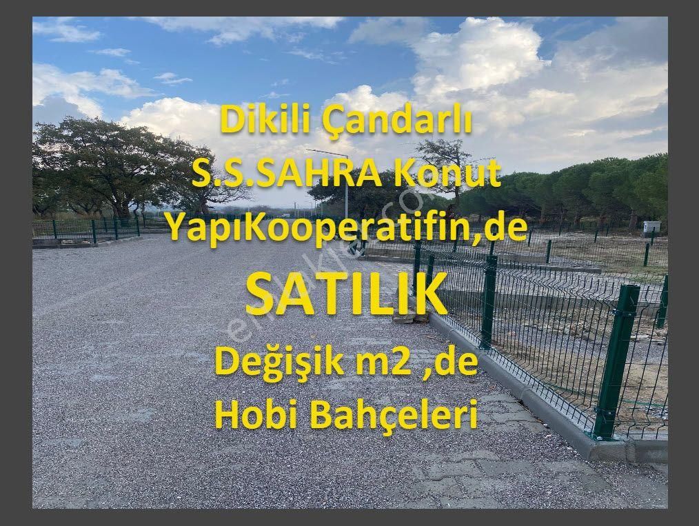 Dikili Çanadarlı S.s.sahra Kooperatifin,de Satılık Hobi Bahçeleri - Görsel 2