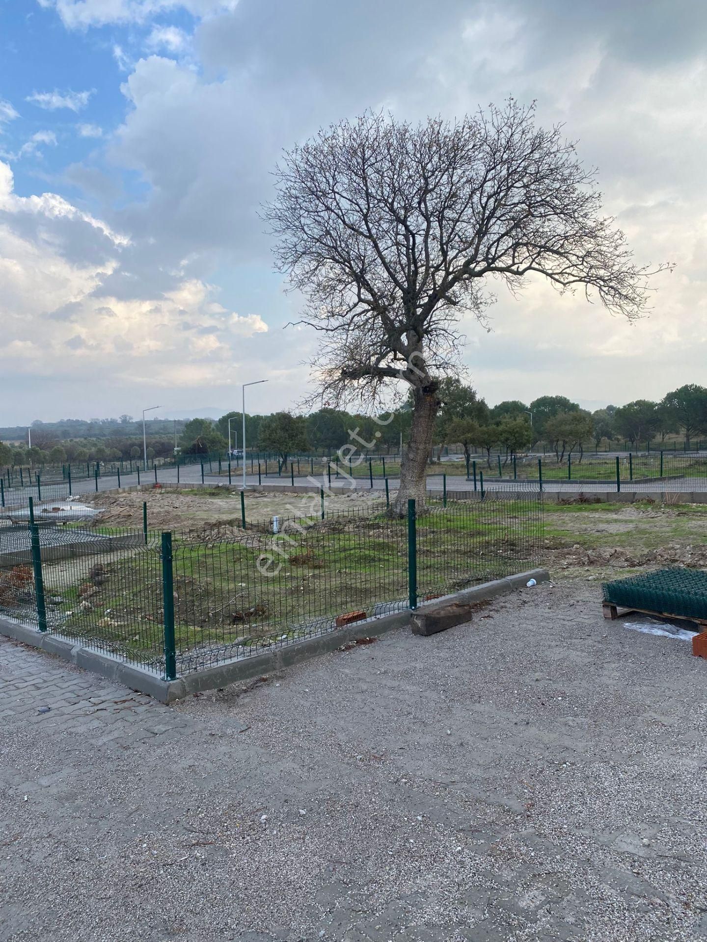 Dikili Çanadarlı S.s.sahra Kooperatifin,de Satılık Hobi Bahçeleri - Görsel 12