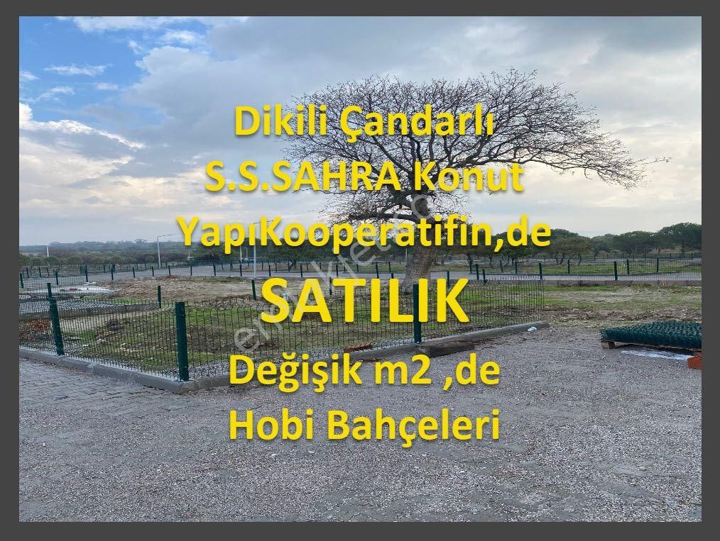 Dikili Çanadarlı S.s.sahra Kooperatifin,de Satılık Hobi Bahçeleri - Görsel 20