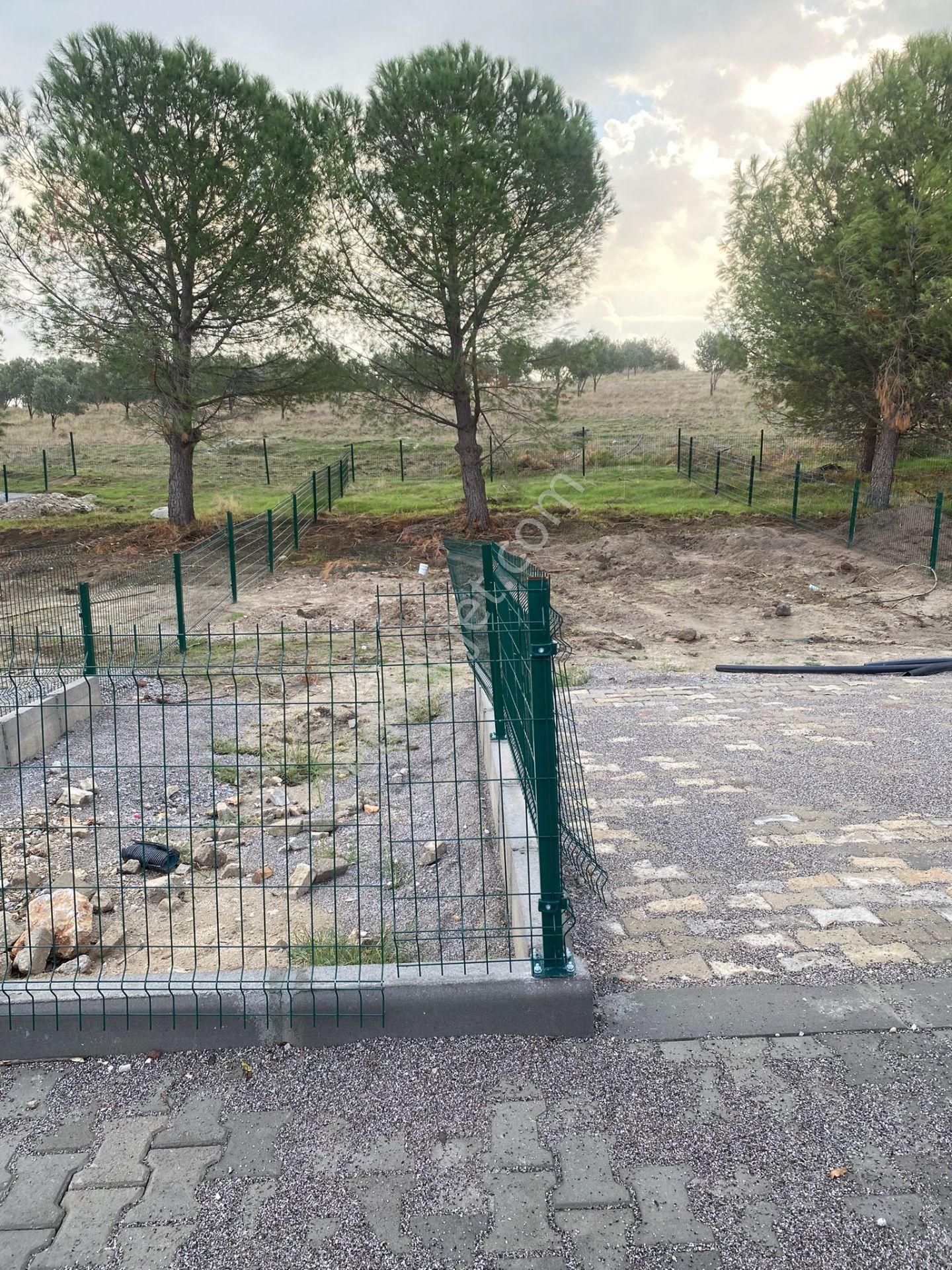 Dikili Çanadarlı S.s.sahra Kooperatifin,de Satılık Hobi Bahçeleri - Görsel 8