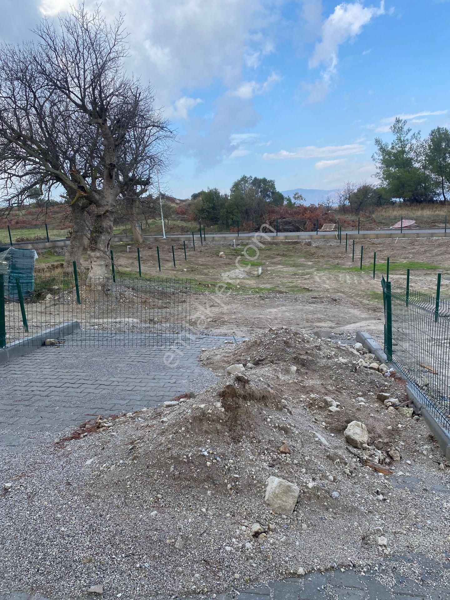 Dikili Çanadarlı S.s.sahra Kooperatifin,de Satılık Hobi Bahçeleri - Görsel 7