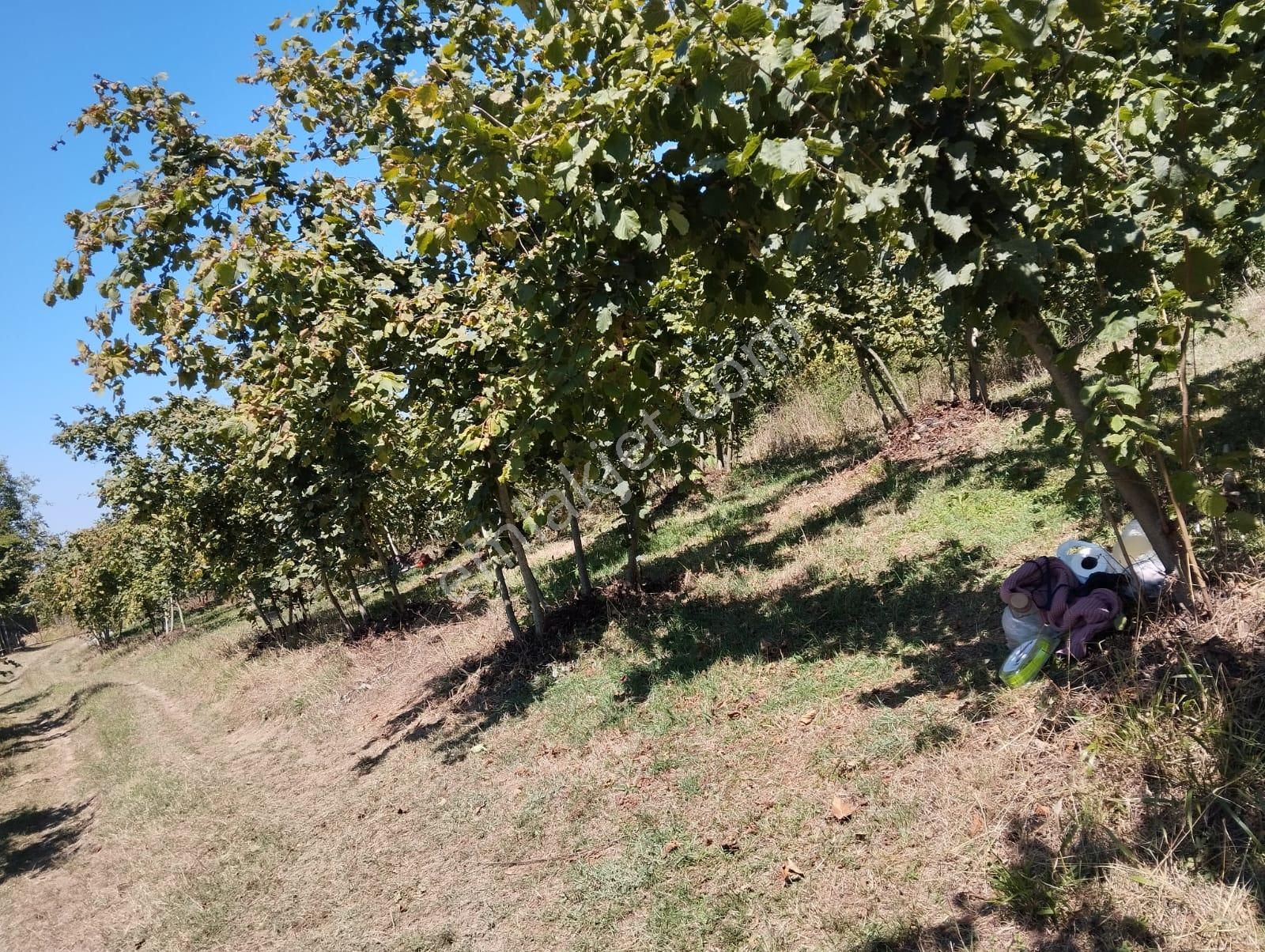 Erenler Kayalarreşitbey Satılık Tarla Hatun Gayrimenkul'den Sakarya Esenler Kayalarreşitbey'de 6.873.21 M