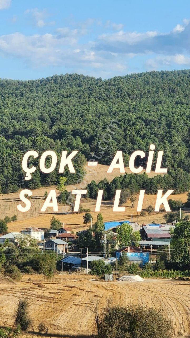 Mudurnu Karacakaya Satılık Bağ & Bahçe Bolu Mudurnu Karacakaya Mh,de Çok Acil Satılık 380m2 İmarlı Arsa