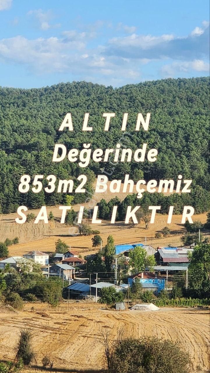 Mudurnu Taşkesti Bld. (Tosunlar) Satılık Bağ & Bahçe Bolu Mudurnu Tosunlar Mh,de Çok Acil Satılık 853m2 İmarlı Arsa