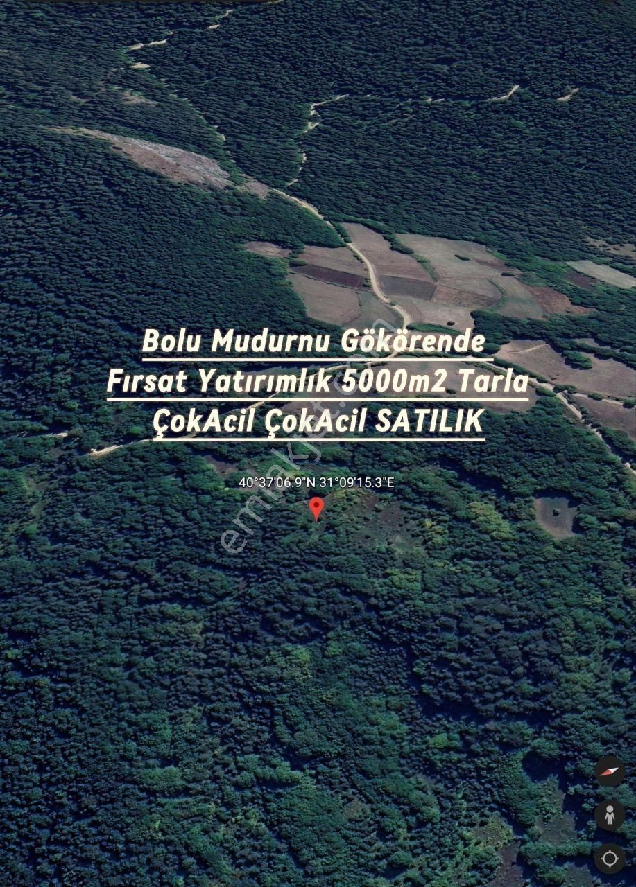 Mudurnu Gökören Köyü (Merkez) Satılık Tarla Bolu Mudurnu Gökören Köyünde Fiyatı Düştürdük Acil Satılık 5000 M2 Tarla