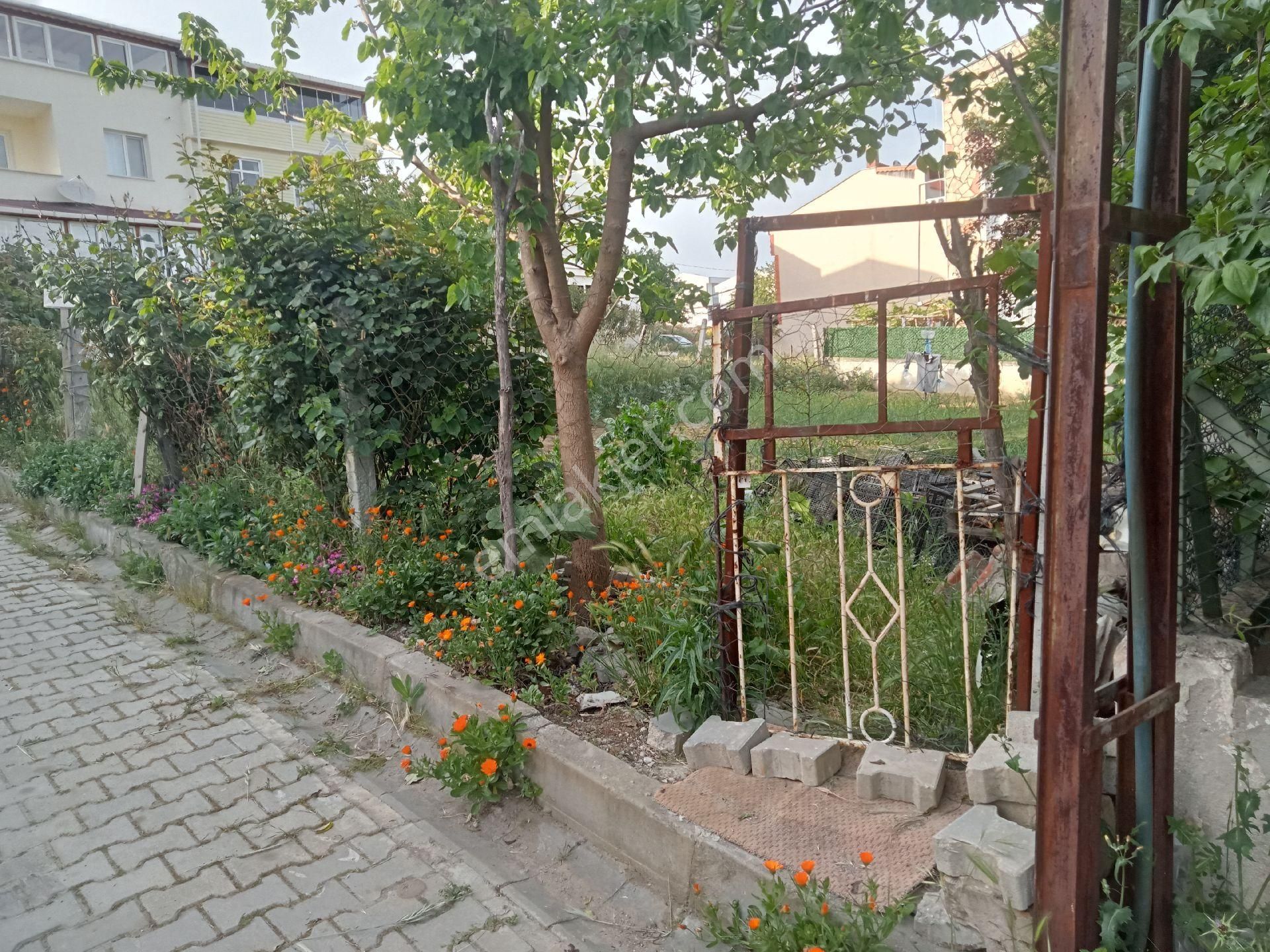 Tekirdağ Yolu Üzerinde Köşe Bitişik 2 Arsa İmarlı Tekirdağ Çorlu Yenice - Görsel 3