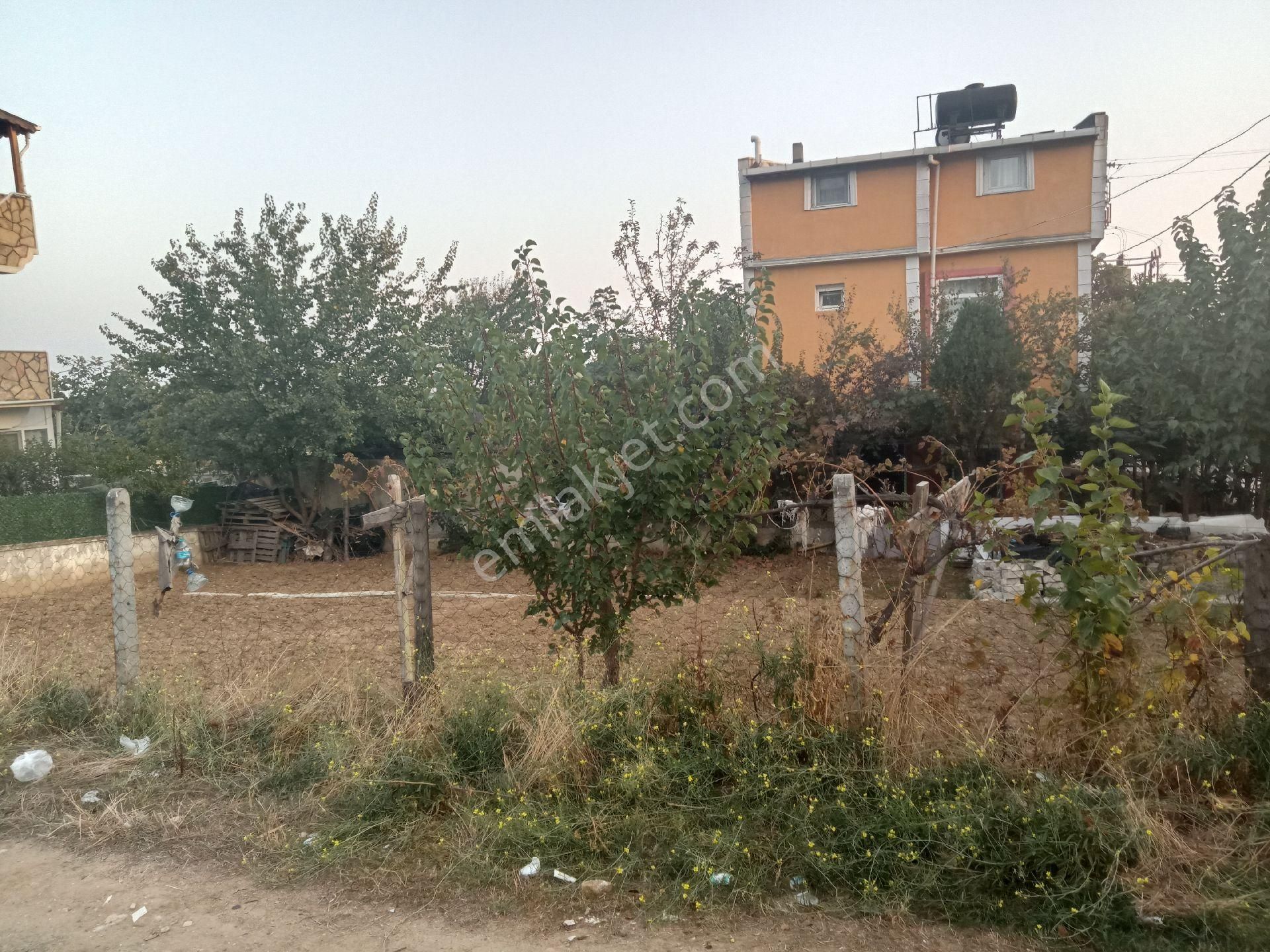 Tekirdağ Yolu Üzerinde Köşe Bitişik 2 Arsa İmarlı Tekirdağ Çorlu Yenice - Görsel 8