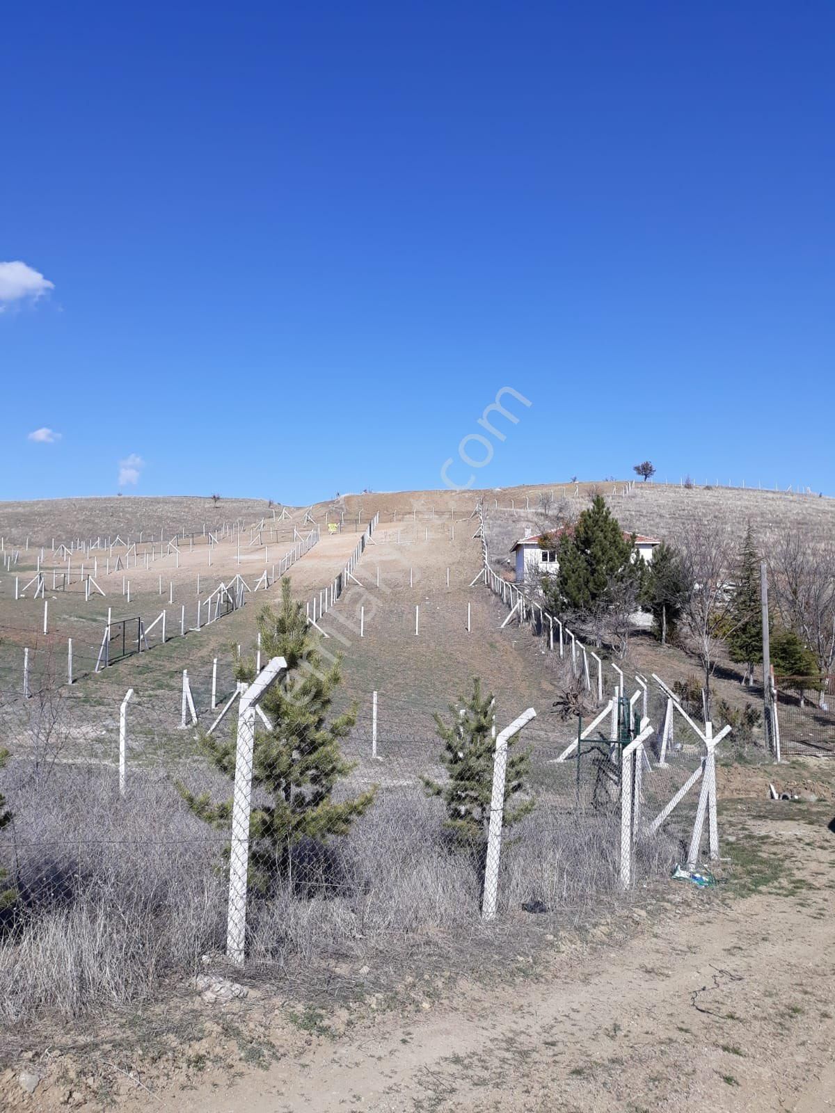 Pursaklar Sirkeli Yeşilova Satılık Özel Kullanım Satılık Hobi Bahçesi 413m2 Araç Ve Ev Karşılığı Takas Olur