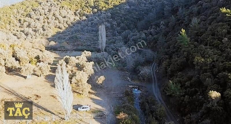 Güzelbahçe Çamlı Satılık Tarla Güzelbahçe Çamlı'da Tapulu Tarla