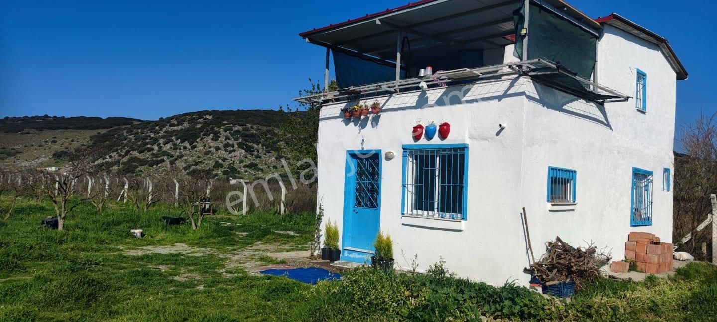 Selçuk İsa Bey Satılık Çiftlik 3551m2 Tek Tapu Nar Bahçesi (imar Sınırında) İçinde 80m2 Çiftlik Evi