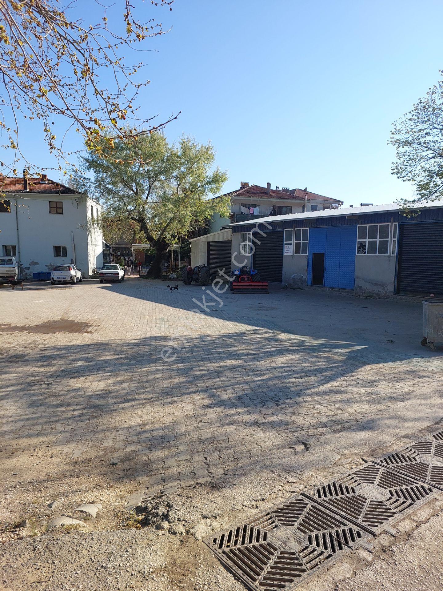 Bursa Mudanya Kaymakoba,da Acil Satılık Köyeyakın 673m2 Zeytinlik - Görsel 25