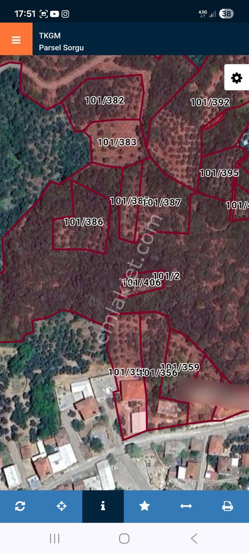 Bursa Mudanya Kaymakoba,da Acil Satılık Köyeyakın 673m2 Zeytinlik - Görsel 8