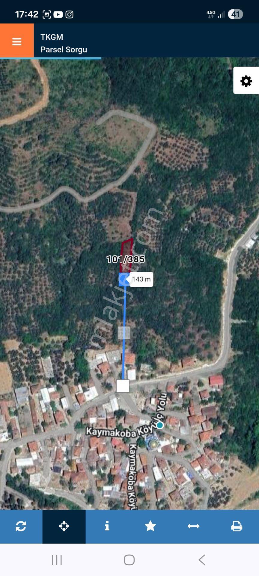 Bursa Mudanya Kaymakoba,da Acil Satılık Köyeyakın 673m2 Zeytinlik - Görsel 11