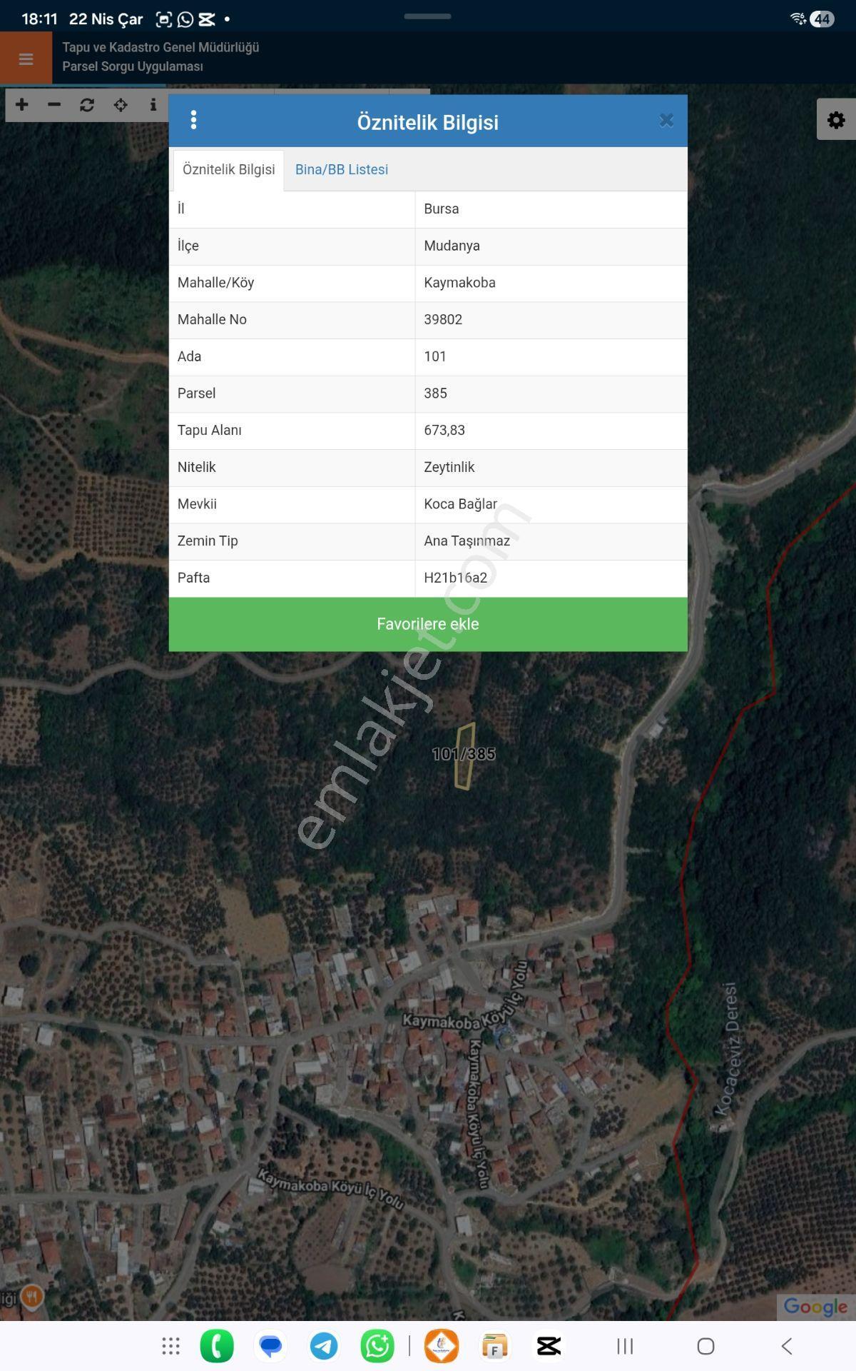 Bursa Mudanya Kaymakoba,da Acil Satılık Köyeyakın 673m2 Zeytinlik - Görsel 7