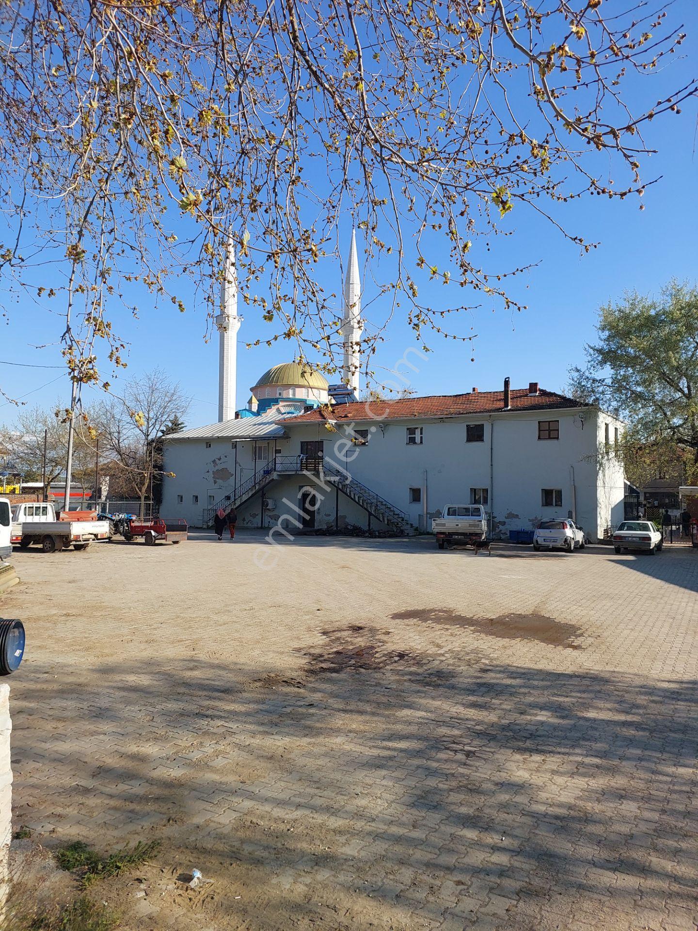 Bursa Mudanya Kaymakoba,da Acil Satılık Köyeyakın 673m2 Zeytinlik - Görsel 26