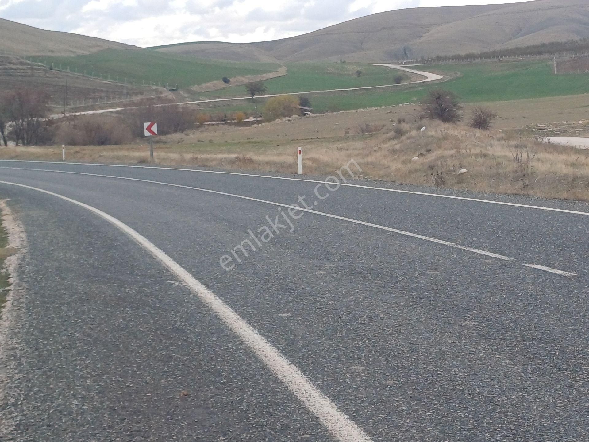 Elazığ Merkez Salkaya Köyü Satılık Tarla Çok Güzel Konumda Ana Yola 1oo Metre Mesafede Satilik Tarla