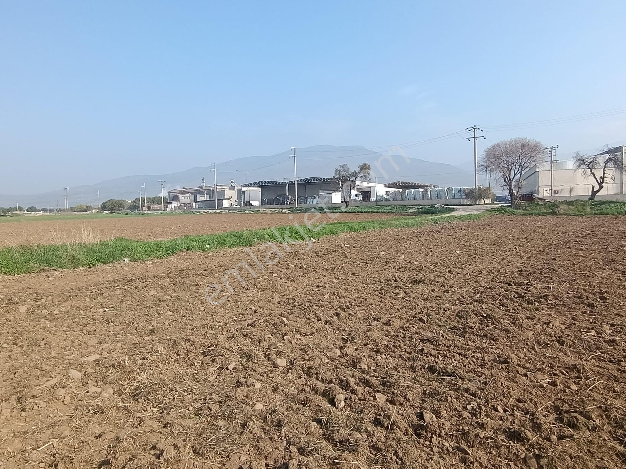 Aliağa Helvacı Fatih Mah. Satılık Tarımsal Depo İmarlı Arazi - Görsel 23
