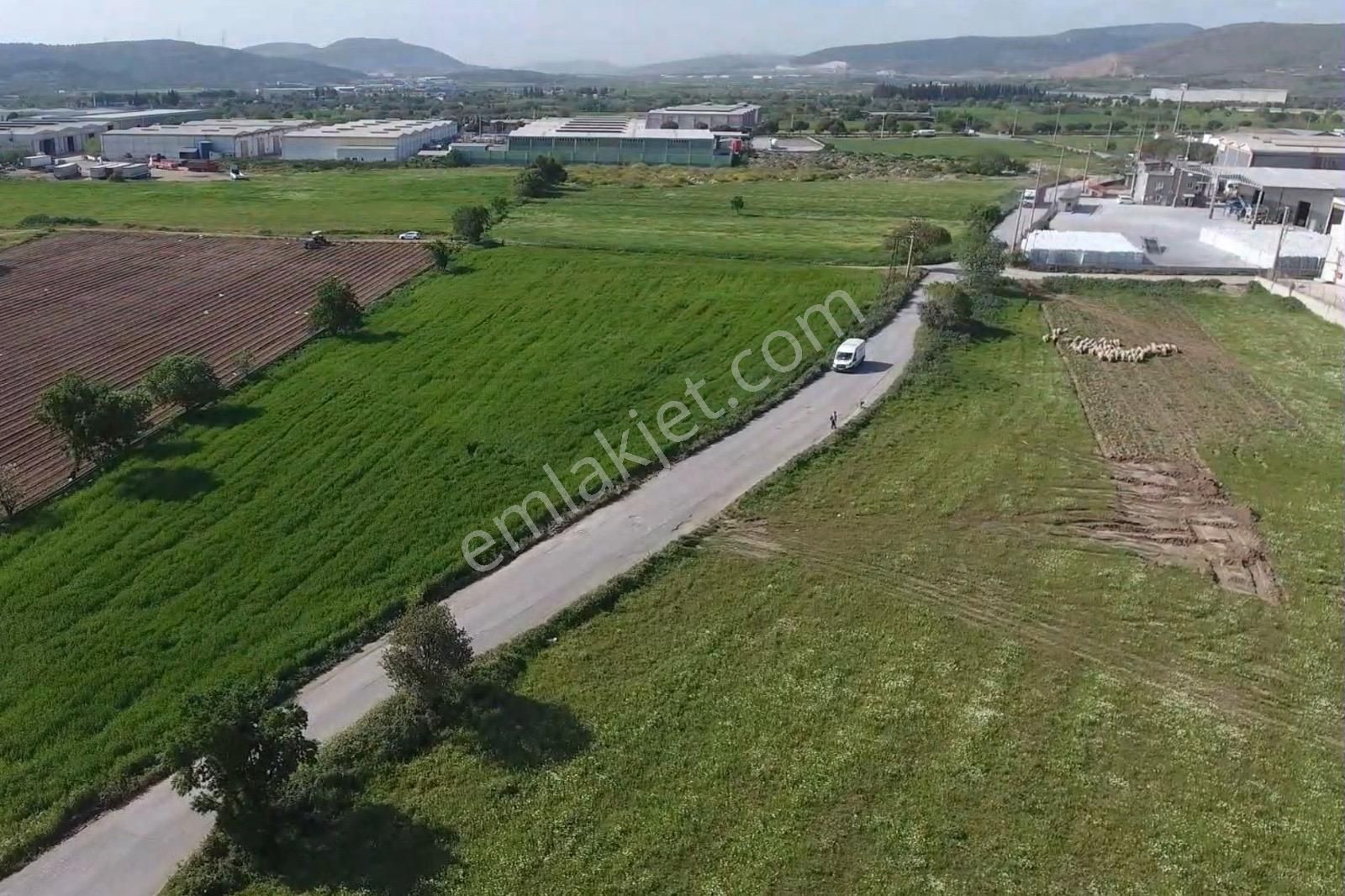 Aliağa Helvacı Fatih Mah. Satılık Tarımsal Depo İmarlı Arazi - Görsel 2