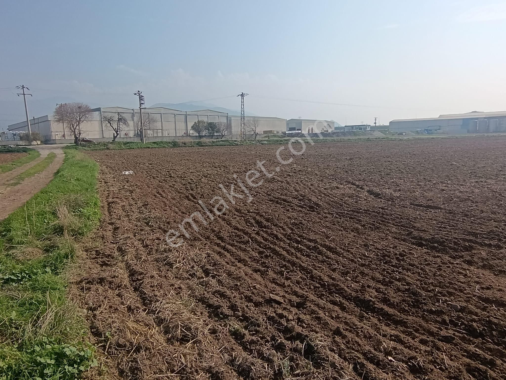 Aliağa Helvacı Fatih Mah. Satılık Tarımsal Depo İmarlı Arazi - Görsel 22