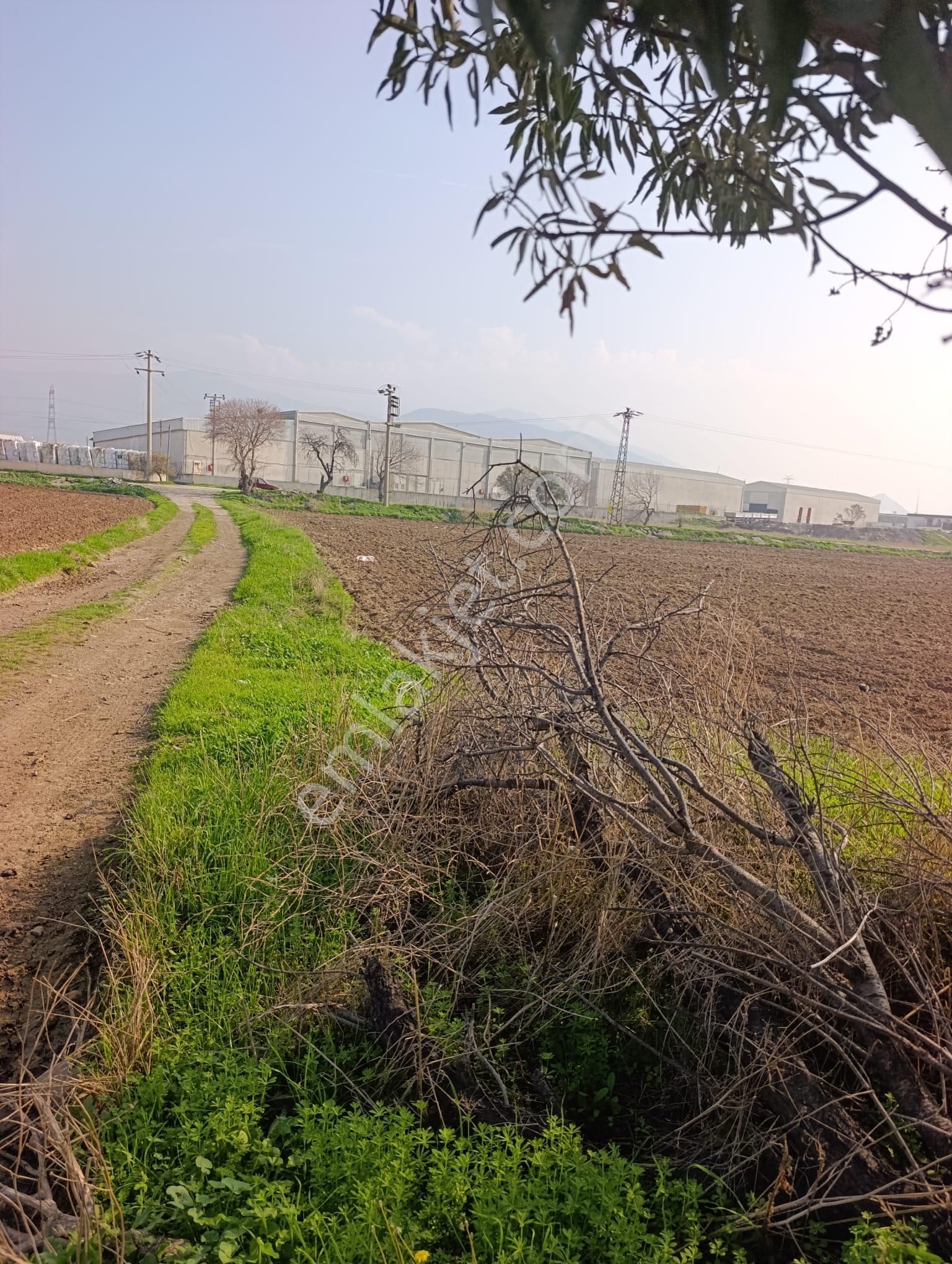 Aliağa Helvacı Fatih Mah. Satılık Tarımsal Depo İmarlı Arazi - Görsel 20