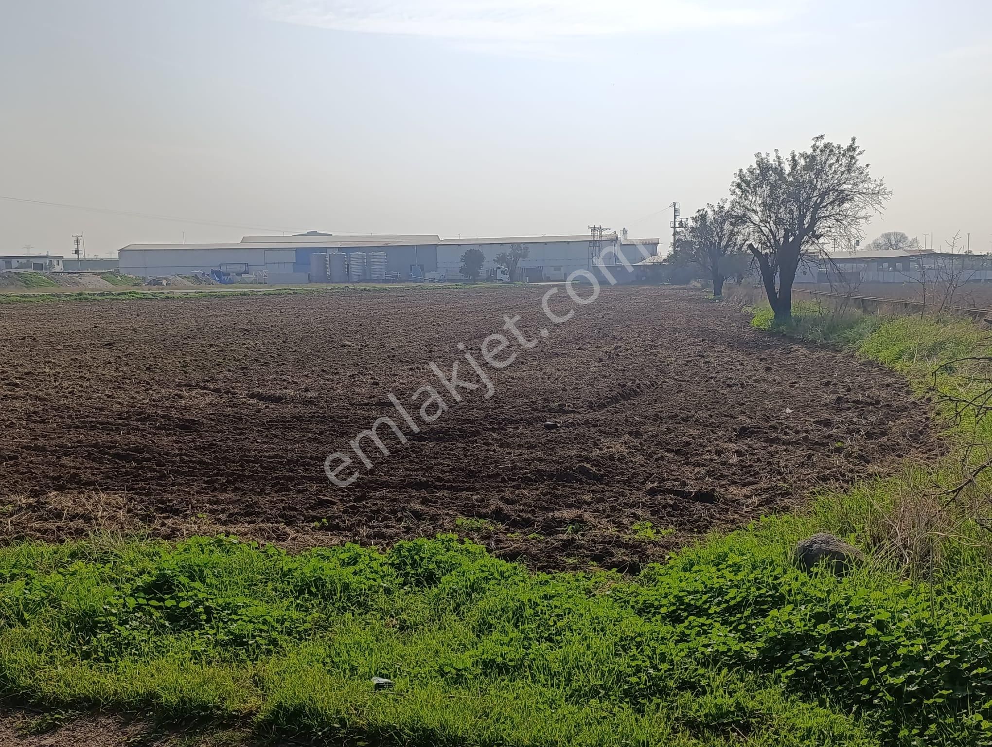 Aliağa Helvacı Fatih Mah. Satılık Tarımsal Depo İmarlı Arazi - Görsel 25