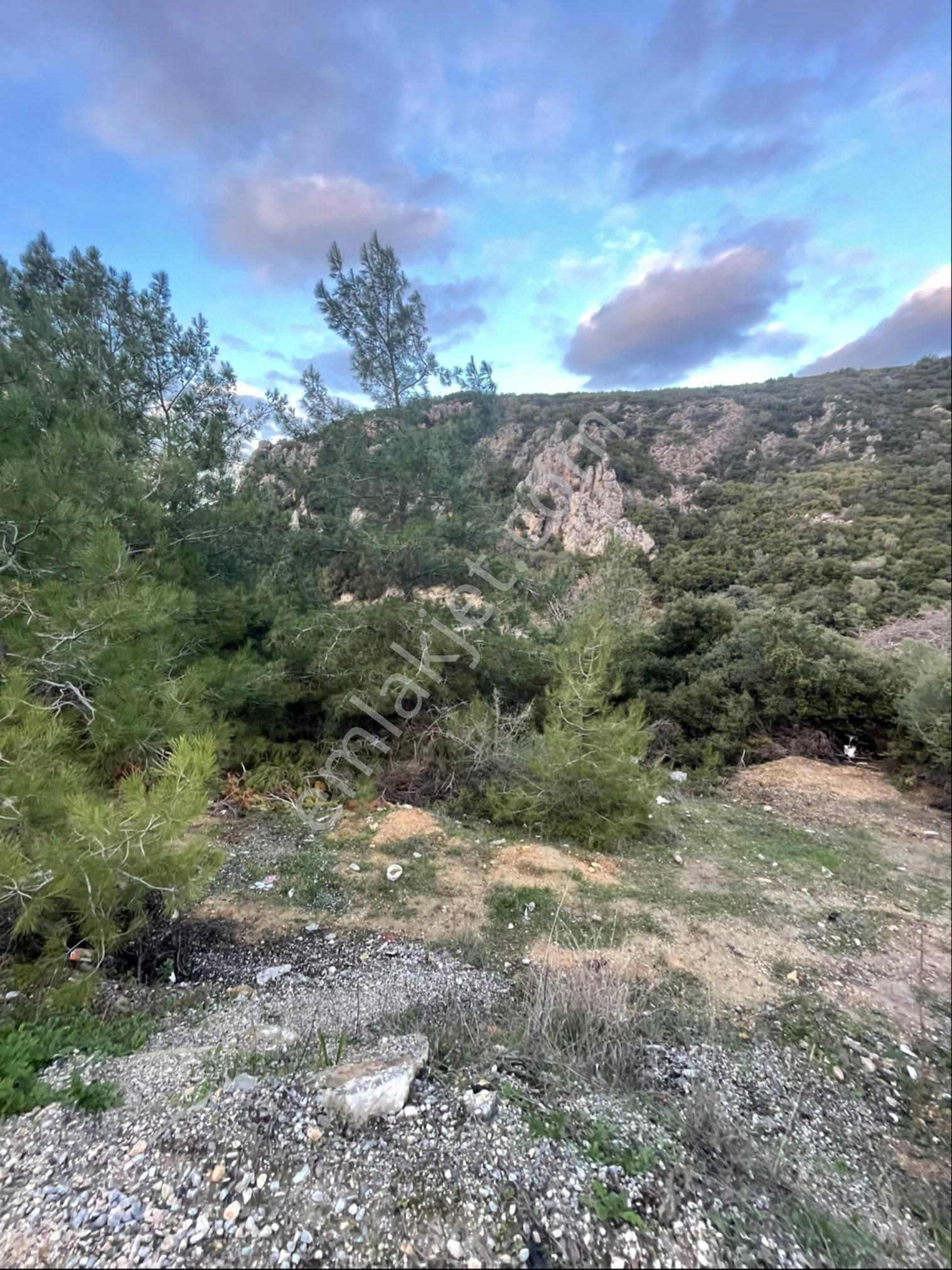 Avm Bölgesi Yol Kenarı Satılık Tarla - Görsel 7