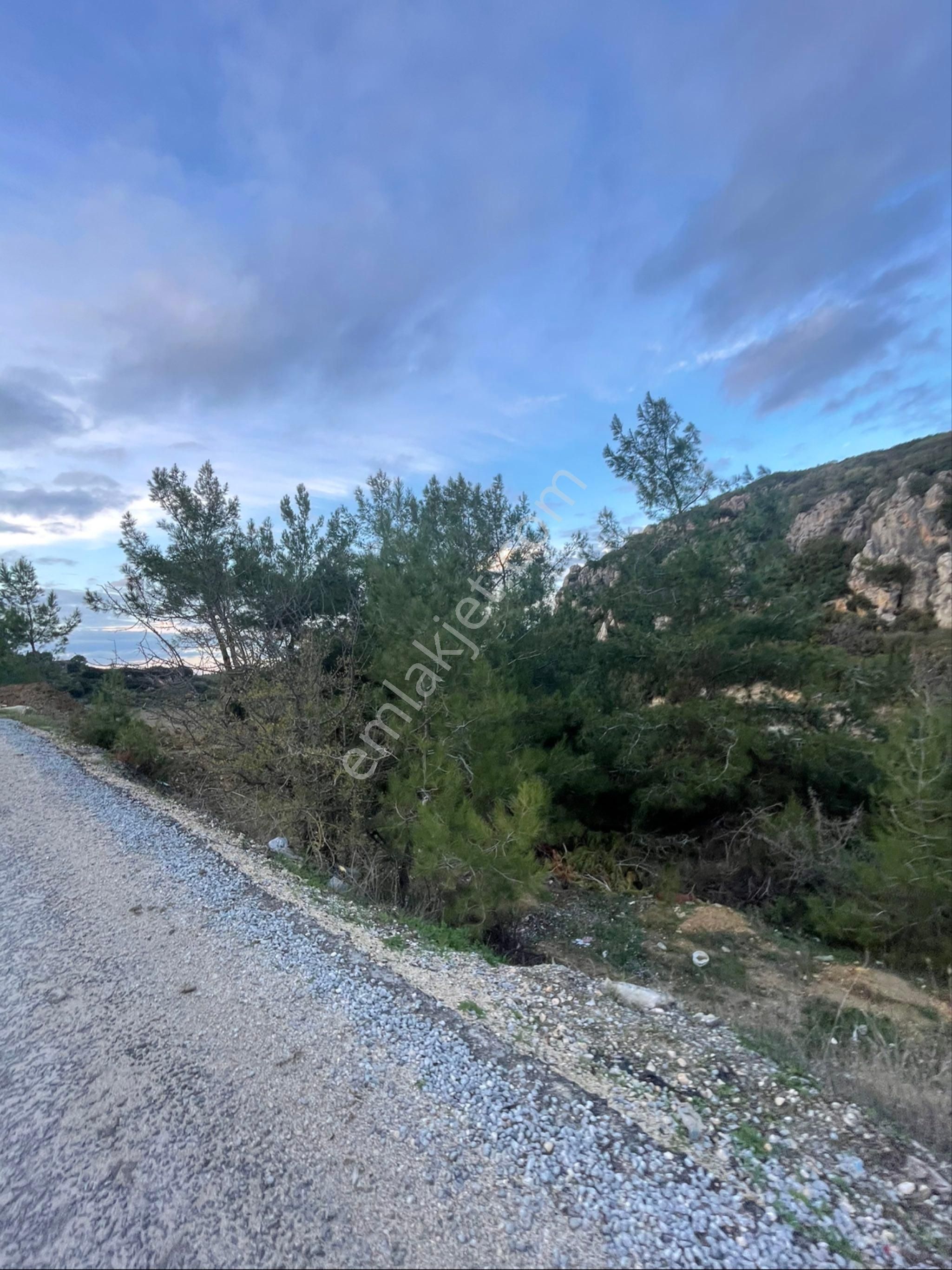 Avm Bölgesi Yol Kenarı Satılık Tarla - Görsel 11