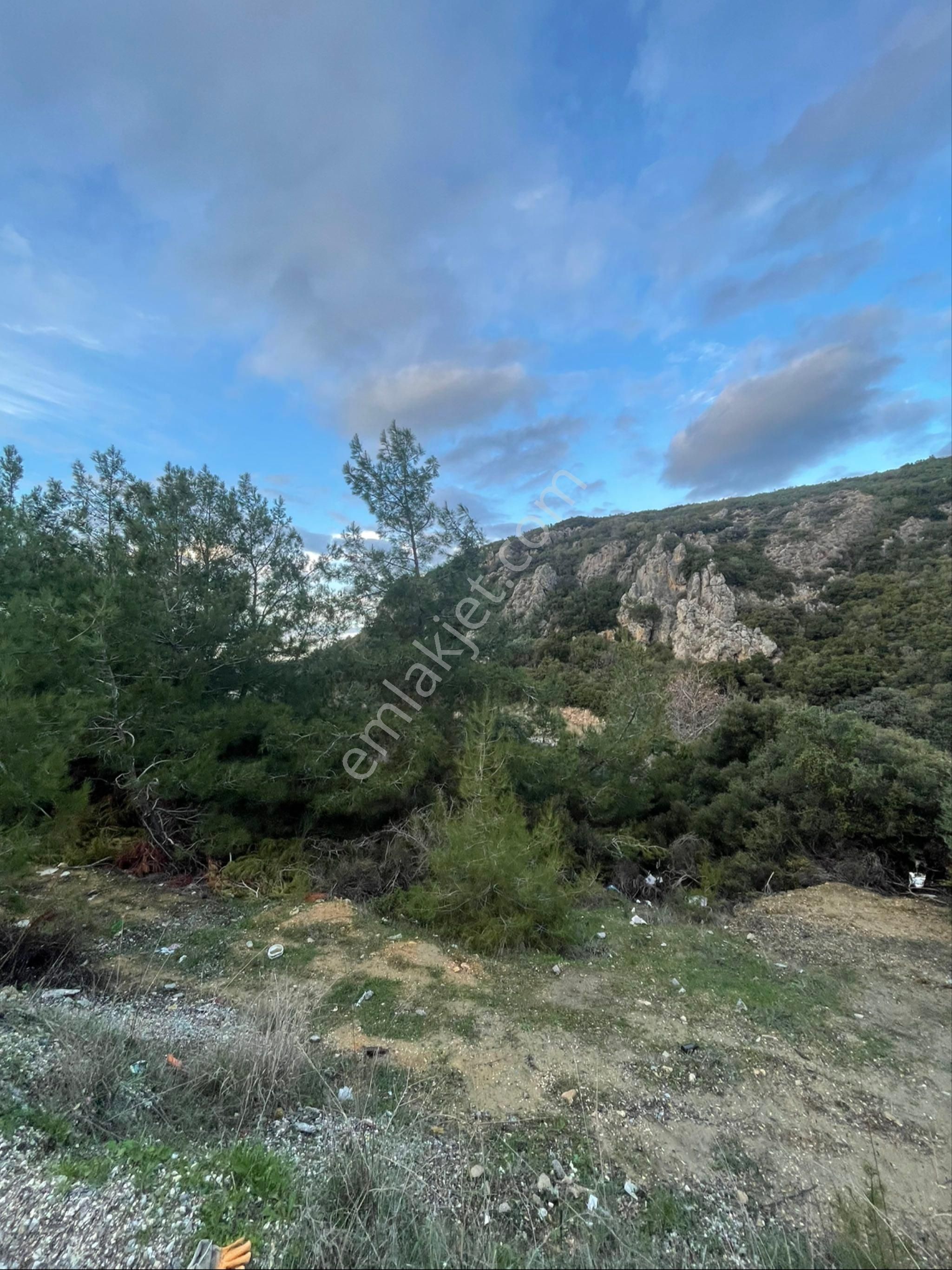 Avm Bölgesi Yol Kenarı Satılık Tarla - Görsel 5