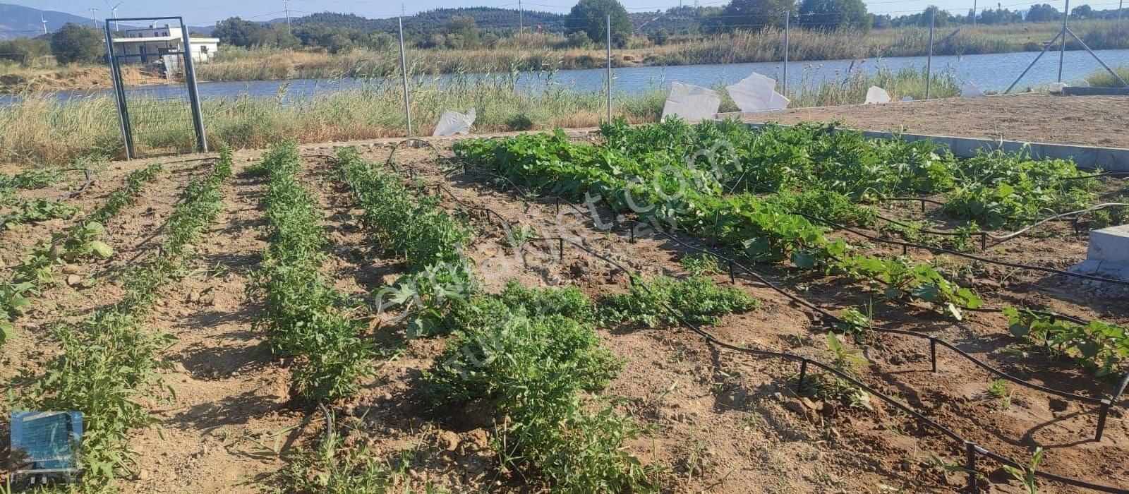 Aliağa Çaltılıdere Denize Sıfır Konumda Satılık Arazi - Görsel 6
