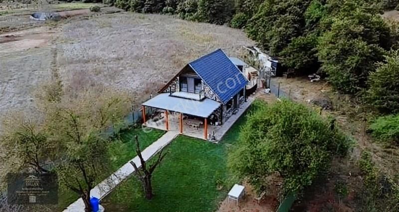 Gebze Denizli Satılık Tarla Gebze Denizlide Müstakil Arsa İçinde Tiny House+havuz