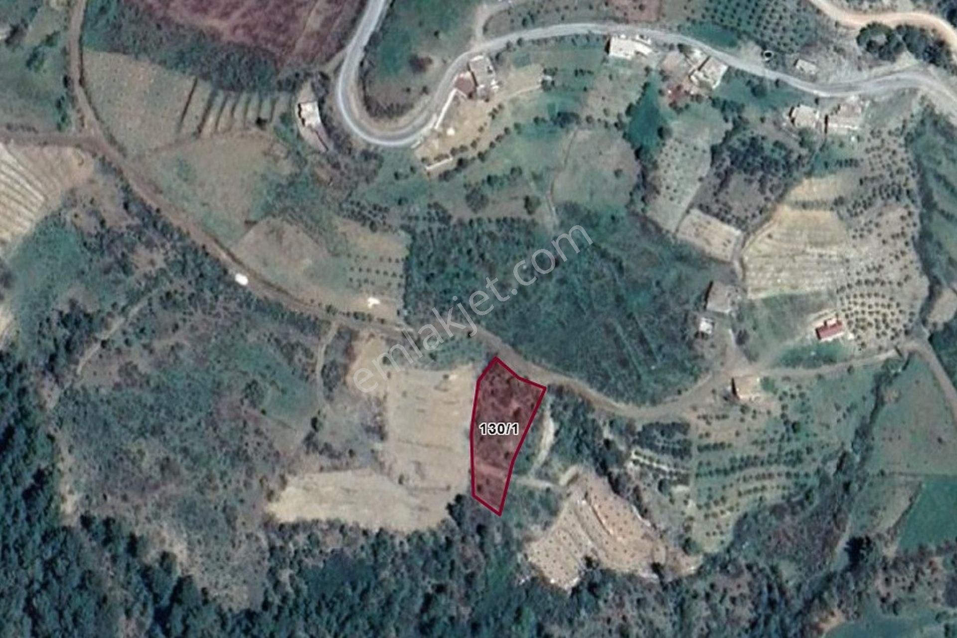Satılık Alanya Fakırcalı 1.455 M2 Tarla - Görsel 6