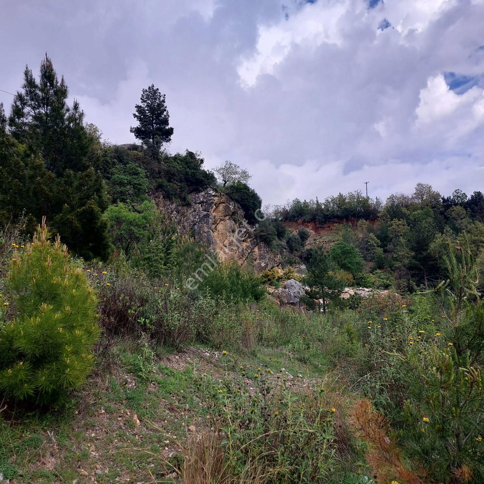 Satılık Alanya Fakırcalı 1.455 M2 Tarla - Görsel 4