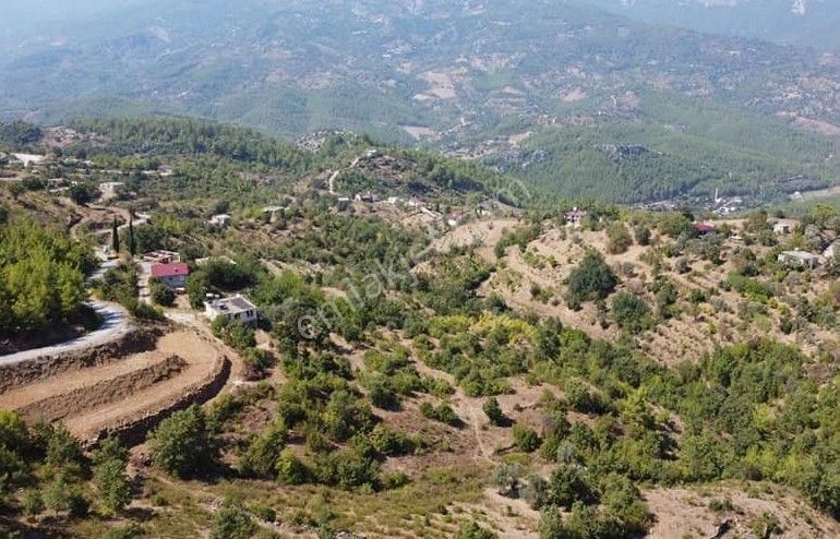 Alanya Fakırcalı Satılık Tarla Satılık Alanya Fakırcalı 1.005 M2 Tarla