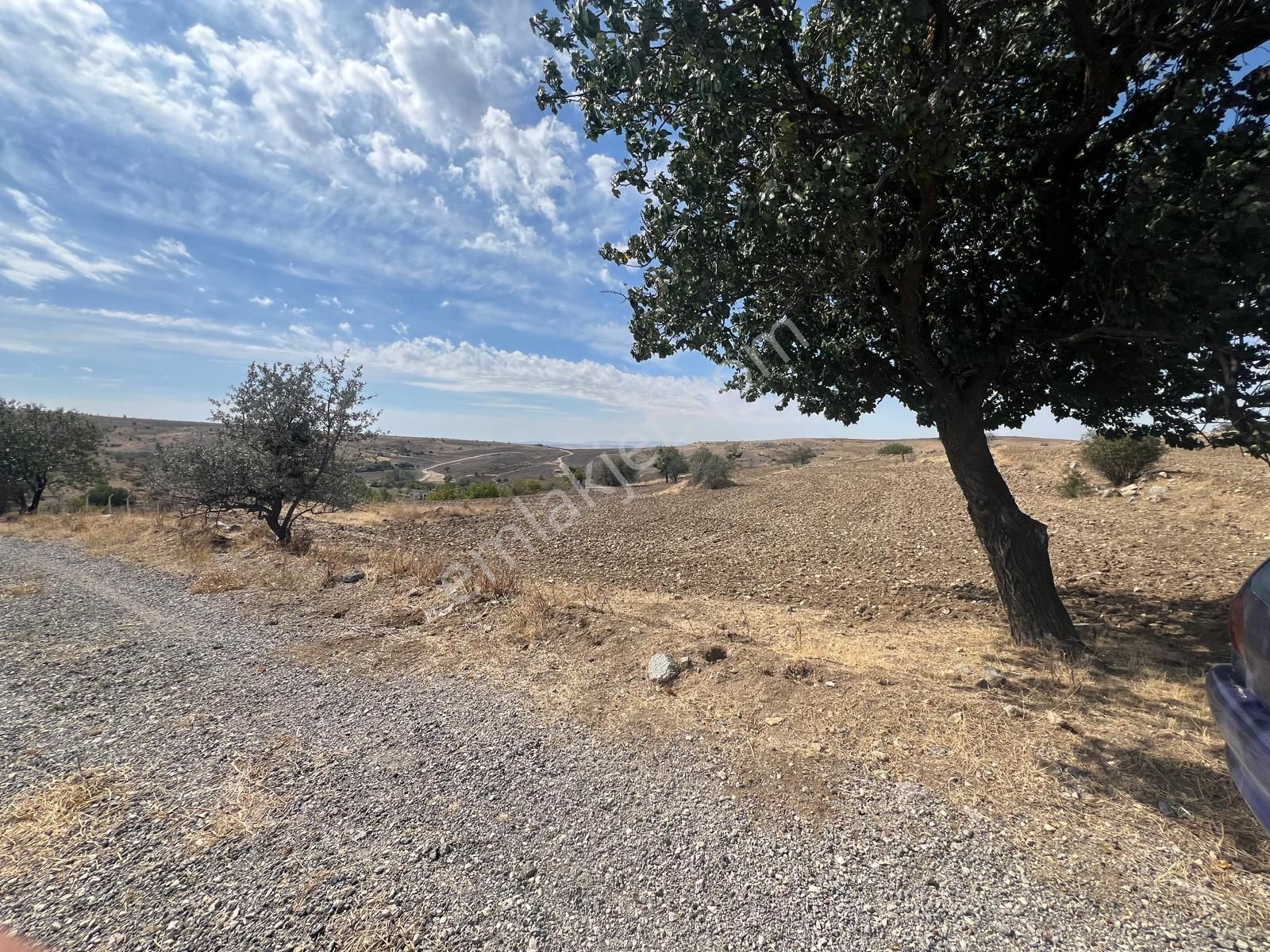 Sincan Ücret Satılık Tarla İlyap'tan Temelli Ücrete Tek Tapulu 7700m2 Bahçe