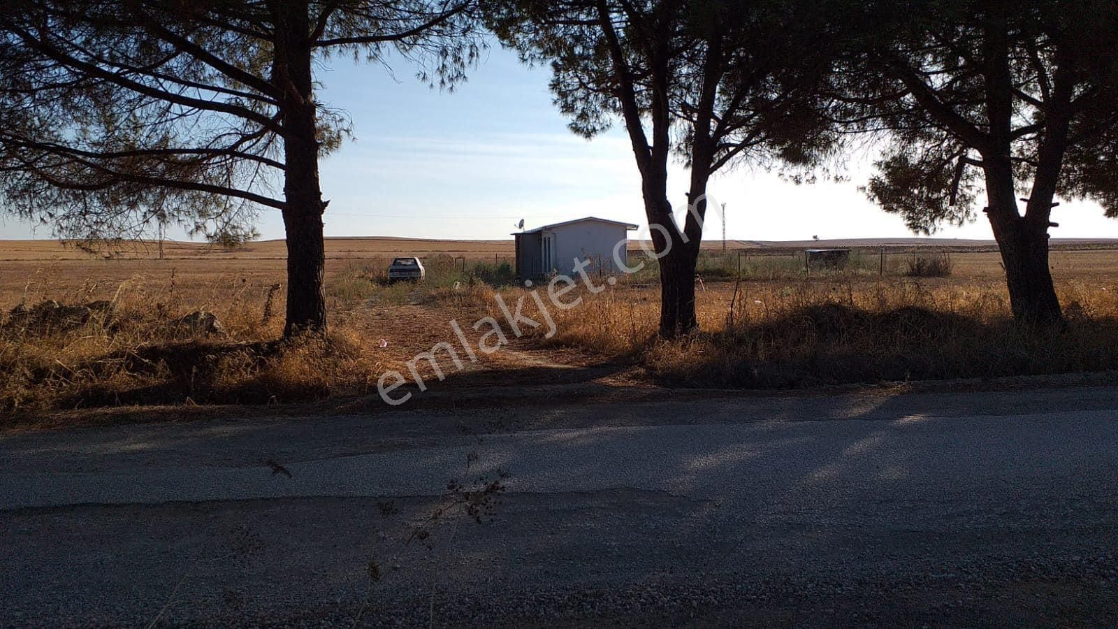 Biga Çeşmealtı Köyü Satılık Müstakil Ev Biga Gayrimenkul’den Çanakkale Biga Çeşmealtı Satılık Uygun Ev Ve Arsa