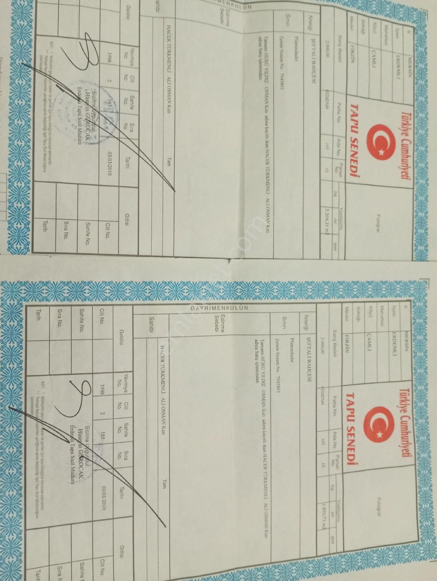 Satılık Kiraz Bahçesi - Görsel 2