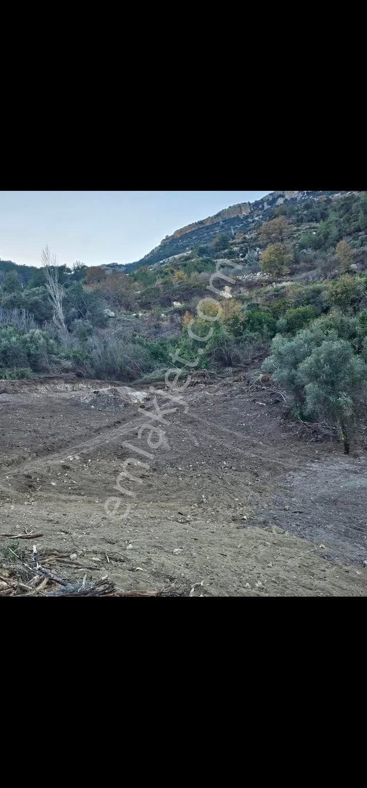 Erdemli Arslanlı Satılık Tarla Aslanlı Mahallesinde 2810 M2 Satılık Arazimiz.