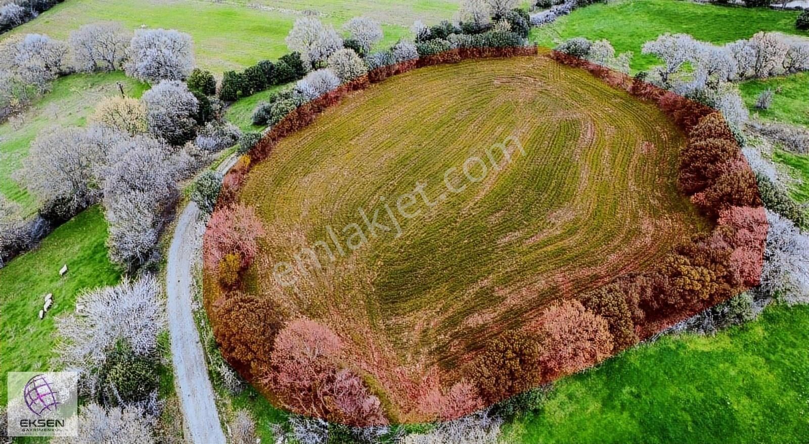 Bayramiç Saraycık Köyü Satılık Tarla Çanakkale Bayramiç Saraycık Köyü'nde 4.700 M² Satılık Tarla