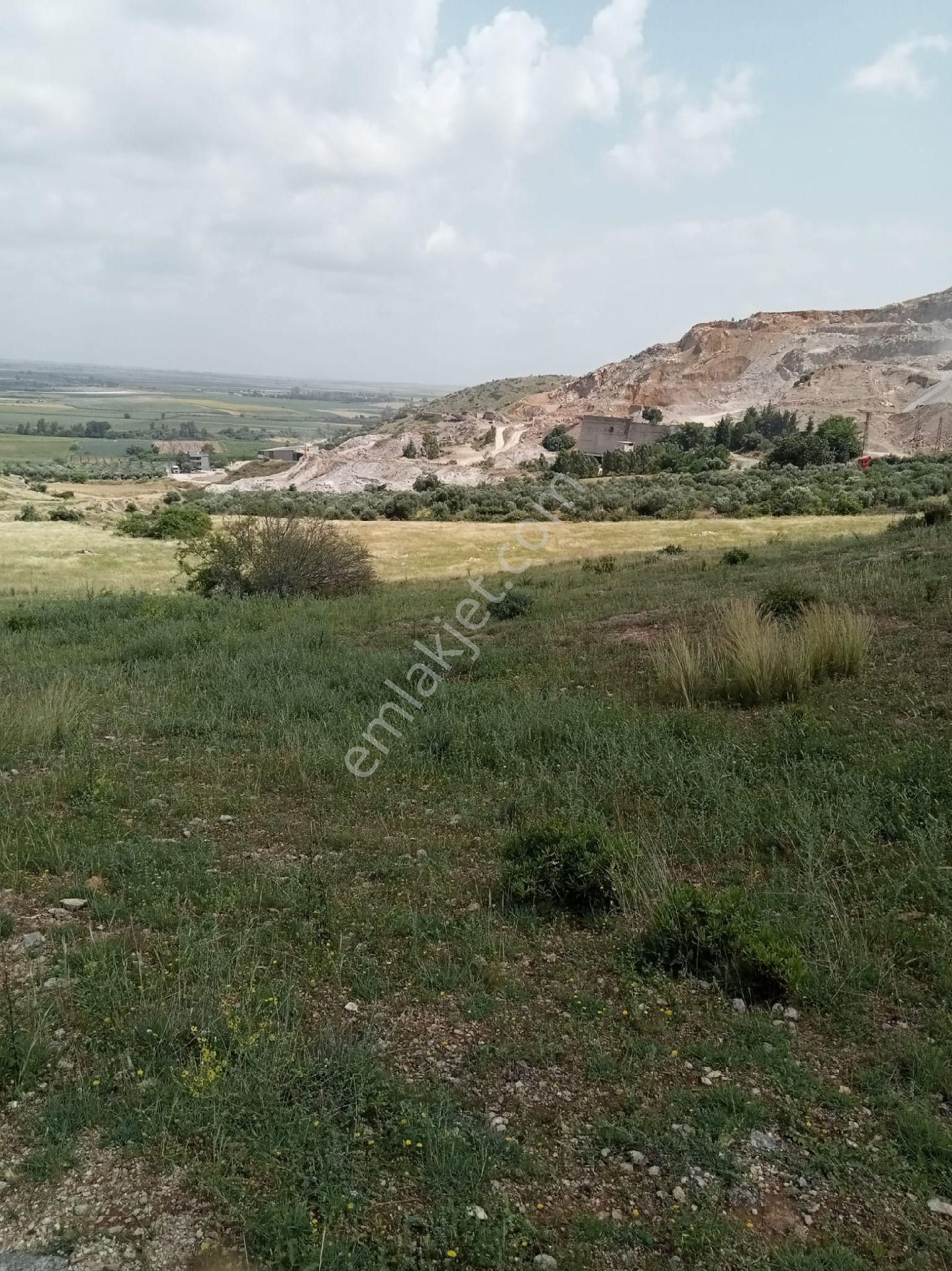 Ceyhan Çokçapınar Satılık Tarla Adana Ceyhan Çokça Pınar'da Satılık Tarla