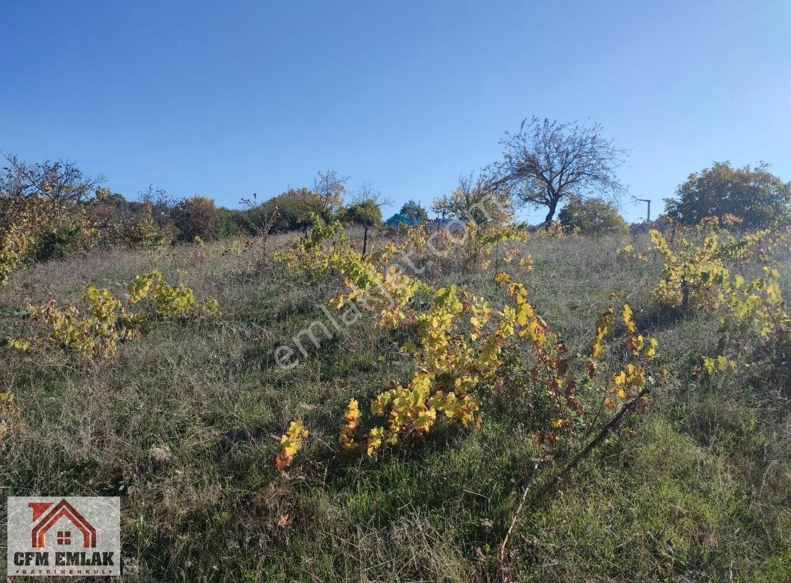 Dömez Mahallesinde 9.452 M2 İmar Sınırına 72 Metre Satılık Tarla - Görsel 9