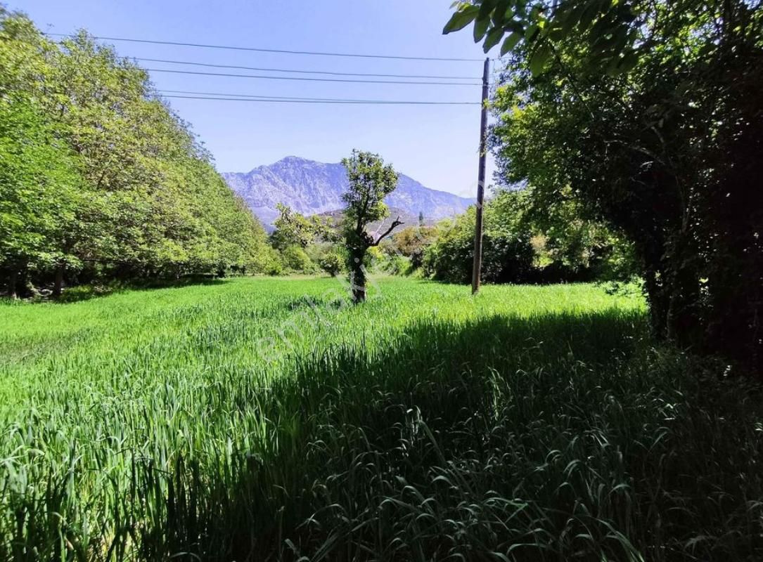 Satılık Alanya Sapadere 2.130 M2 - Görsel 3