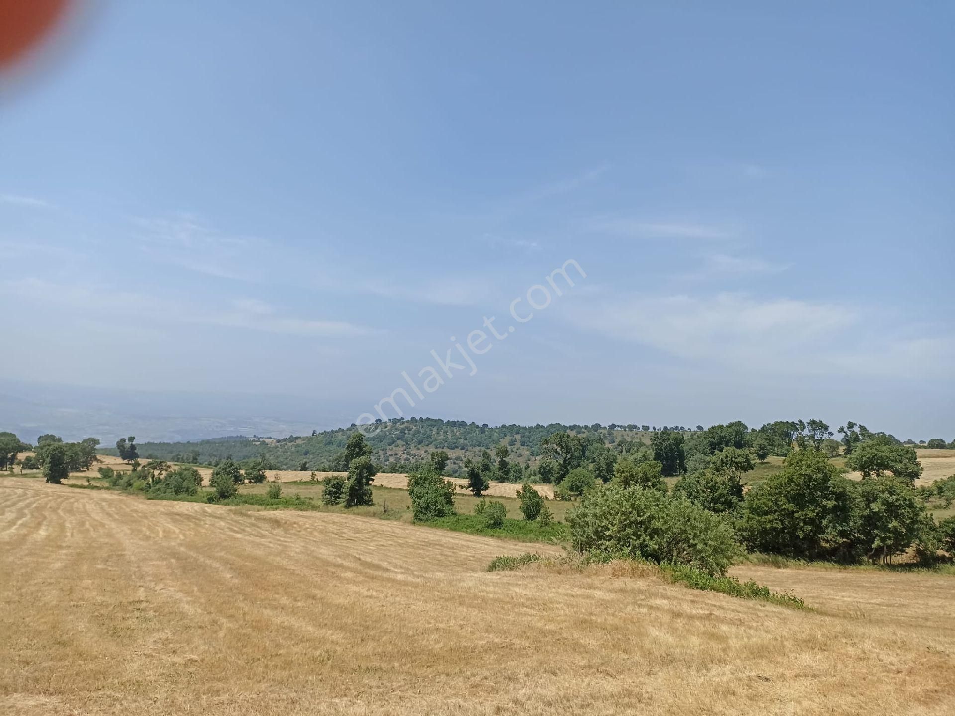 Osmaneli Boyunkaya Köyü Satılık Tarla Bilecik Osmaneli Boyunkaya Köyü Ssatıık Tarla