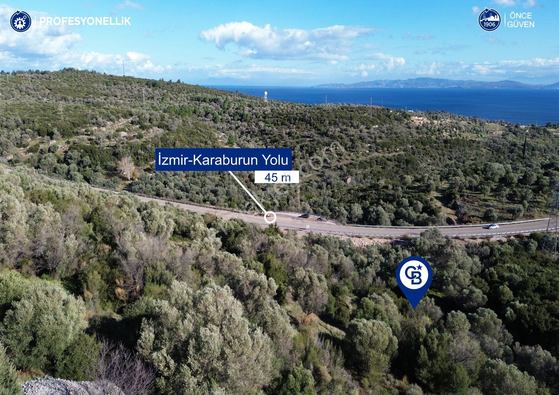 Karaburun Anbarseki 3168 M² Deniz Manzaralı Zeytin Ağaçlı Tarla - Görsel 3