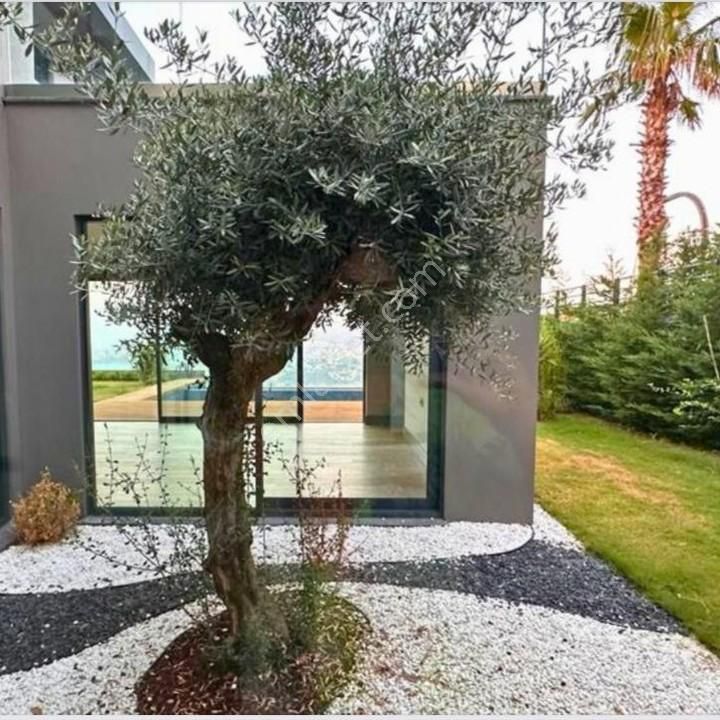 Gündoğan Site İçinde Tam Müstakil Full Koy Manzaralı 4+1 Villa - Görsel 12